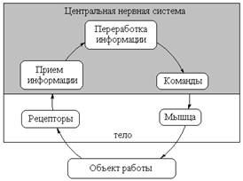 Идеомоторный акт эффект связанный с Идеомоторный акт эффект связанный с