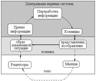 Идеомоторный акт эффект связанный с Идеомоторный акт эффект связанный с