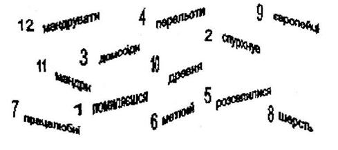 Дипломная работа: Формування у молодших школярів естетичних почуттів на уроках класного читання