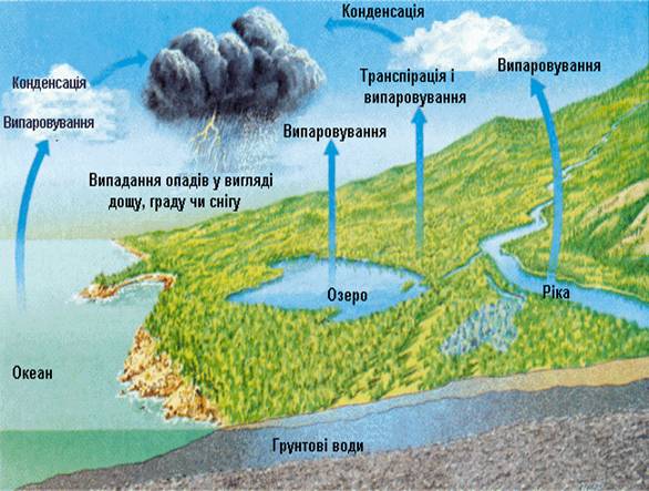 С чем связано полное отсутствие атмосферных осадков в пустыне намиб С чем связано полное отсутствие атмосферных осадков