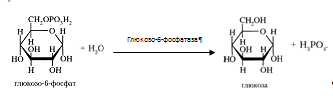 Описание: C:Documents and SettingsAdminРабочий столScreenHunter_025.bmp