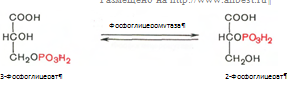Описание: C:Documents and SettingsAdminРабочий столScreenHunter_034.bmp