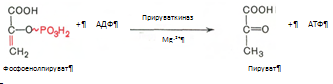 Описание: C:Documents and SettingsAdminРабочий столScreenHunter_036.bmp