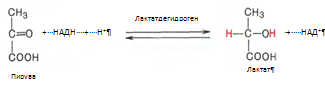 Описание: C:Documents and SettingsAdminРабочий столScreenHunter_037.bmp