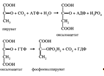 Описание: C:Documents and SettingsAdminРабочий столScreenHunter_039.bmp