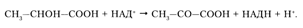 Описание: C:Documents and SettingsAdminРабочий столScreenHunter_041.bmp