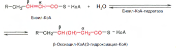Описание: C:Documents and SettingsAdminРабочий столScreenHunter_047.bmp