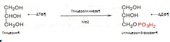 Описание: C:Documents and SettingsAdminРабочий столScreenHunter_050.bmp