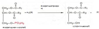 Описание: C:Documents and SettingsAdminРабочий столScreenHunter_054.bmp
