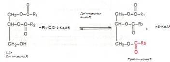 Описание: C:Documents and SettingsAdminРабочий столScreenHunter_055.bmp