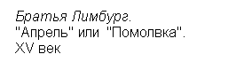 :   . 
 