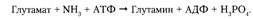 Описание: C:Documents and SettingsAdminРабочий столScreenHunter_059.bmp