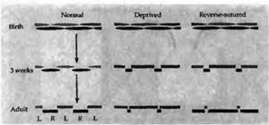 %20541-640.files/image077.jpg