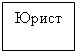Подпись: Юрист