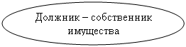 Овал: Должник – собственник имущества
