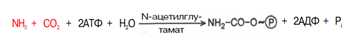 Описание: C:Documents and SettingsAdminРабочий столScreenHunter_066.bmp