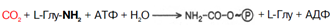 Описание: C:Documents and SettingsAdminРабочий столScreenHunter_067.bmp