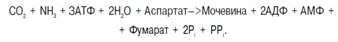 Описание: C:Documents and SettingsAdminРабочий столScreenHunter_069.bmp
