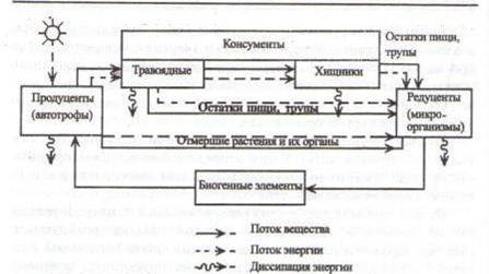 http://www.ekologia-v-vuz.ru/image/transformazia-energii.jpg
