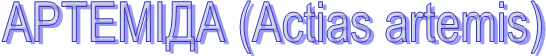 ̲ (Actas artems)