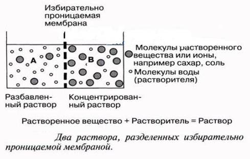 : C:Documents and SettingsAdmin 177.jpg