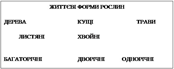 : Ҫ²  &#13;&#10;&#13;&#10;				ٲ			&#13;&#10;&#13;&#10;Ͳ 			Ͳ&#13;&#10;&#13;&#10;&#13;&#10;вͲ			вͲ		вͲ&#13;&#10;