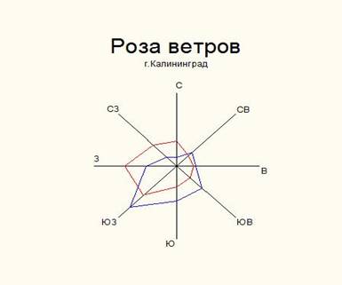.jpg