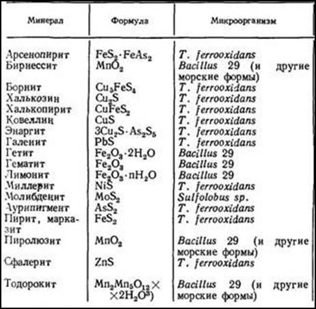 : C:Documents and SettingsAdmin clip_image0026.jpg