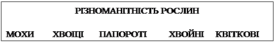 : вͲͲ &#13;&#10;&#13;&#10;	ٲ	Ҳ	Ͳ	²²&#13;&#10;