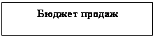 Подпись: Бюджет продаж