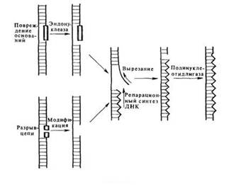 : C:Documents and SettingsAdmin  clip_image003.jpg