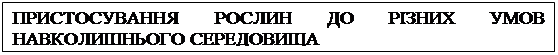 :    в   &#13;&#10;&#13;&#10;