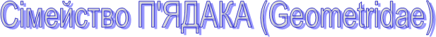 ѳ 