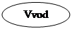: Vvod