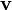 mathbf{v}