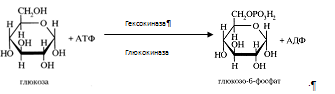 Описание: C:Documents and SettingsAdminРабочий столScreenHunter_023.bmp