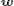 mathbf{w}