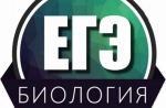 Фото новости